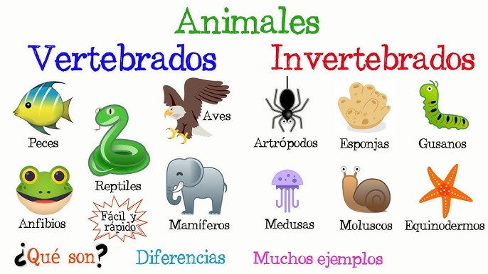 ANIMALES VERTEBRADOS E INVERTEBRADOS